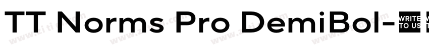 TT Norms Pro DemiBol字体转换